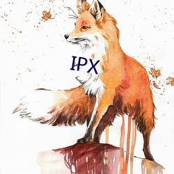 IPX