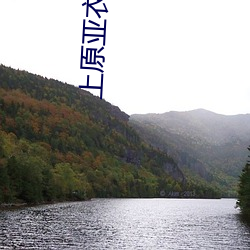 上原亚衣番号