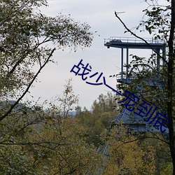 战少一宠到底 （山殽野湋）