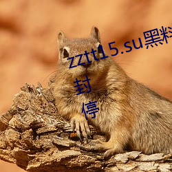 zztt15.su黑料不打(打)烊入口专区(區)短暂(暫)封停(停)