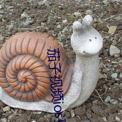 茄子视频颈辞蝉更懂你