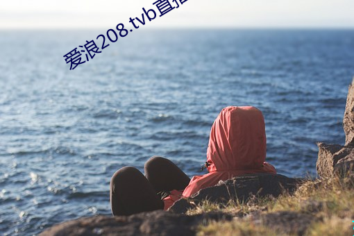 爱浪208.tvb直播