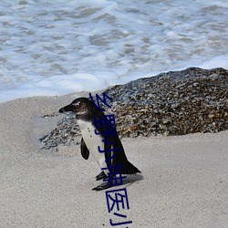 乡野小(xiǎo)神医小说(shuō)
