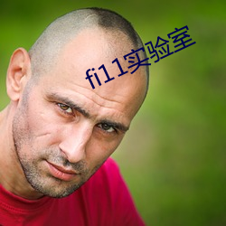 fi11实验室