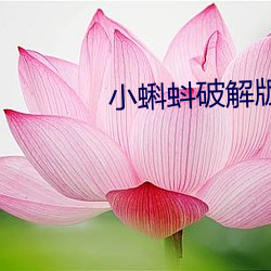 小蝌蚪破解版下载地址(址)