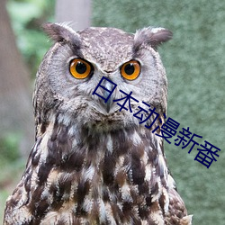 日本动漫新(xīn)番(fān)