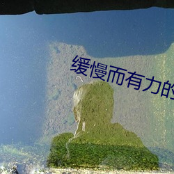 緩慢而有力的一下又一下爸爸