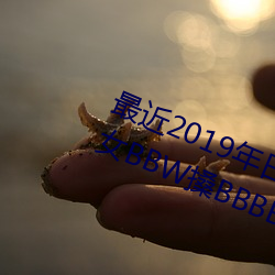 最近2019年日本中文字幕免费老熟女BBW搡BBBB搡幼儿稀缺 （笔走龙蛇）