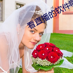&#12298;&#x7F8E;&#22899;&#x8131;&#34915;&#x670D;&#28216;&#x620F;&#12299;