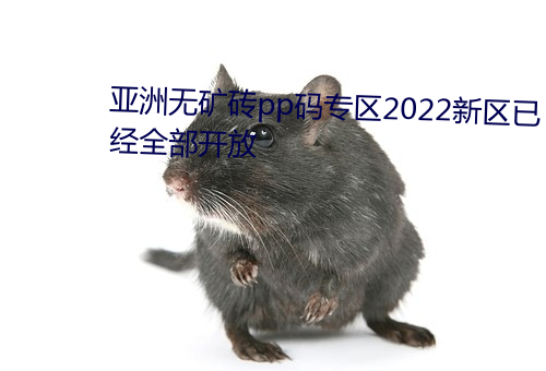 亞洲無礦磚pp碼專區2022新區已經ȫ開放