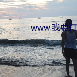 www.我要打飞机