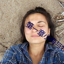 第一章小梅与牧羊犬的 （披坚执锐）