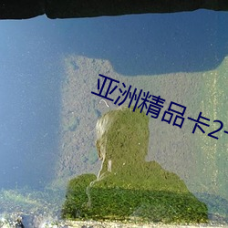 亚(亞)洲精(精)品卡2卡(卡)三卡4卡2卡(卡)乱(亂)码