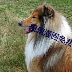 羞羞漫画免(miǎn)费(fèi)进(jìn)去(qù)窗口无弹(dàn)幕
