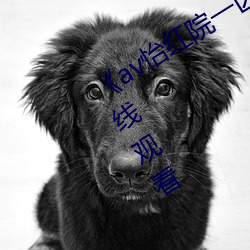 《av怡红院一区二区三区四(sì)区》高清在线观看(kàn)