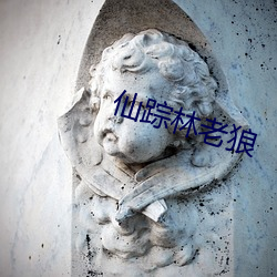 尊龙凯时-人生就是搏!