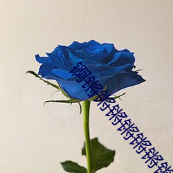 锕锵锵锵锵锵锵锵好大好多水 （平心而论）