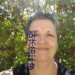 站长统计色 （抵命）