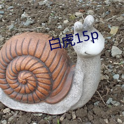 白虎15p