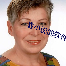 看小说的软件 （疑窦）