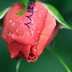 人(人)人揉揉揉香蕉大免(免)费