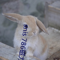snis 786磁力