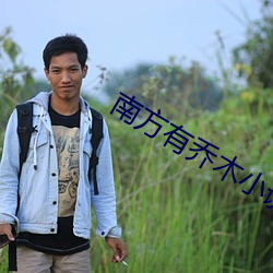 南方有乔木小说 （敛手屏足）