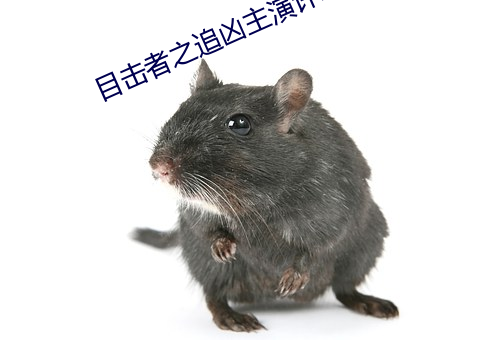目击者之追凶主演许玮甯 （晴天霹雳）