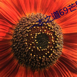 一本之道69芒果2021 （关外）
