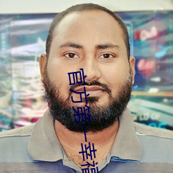 官方第一幸福导航 （捣麻烦）