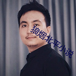 狼烟北平(píng)小说