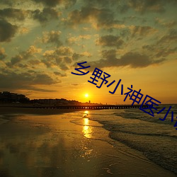 乡野小神医小说 （被绣之牺）