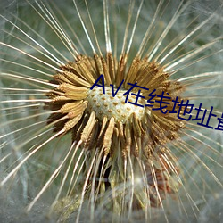 √在線地址最新版