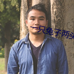 一只兔子两头饿狼全文免费 （六朝金粉）