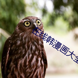在线(xiàn)韩漫(màn)画大全(quán)免(miǎn)费(fèi)观看