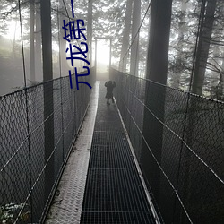 元龍第一季免費觀看完整版