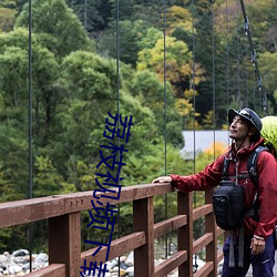 荔枝视频下载巧api在免费