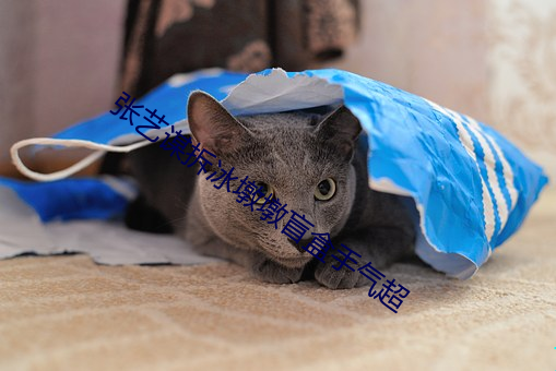 凯时|AG(AsiaGaming)优质运营商