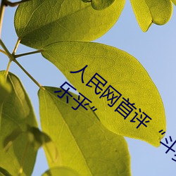 &#26524;&#x51BB;&#20256;&#x5A92;&#35270;&#x9891;&#22312;&#x7EBF;&#35266;&#x770B;&#20813;&#x8D39;