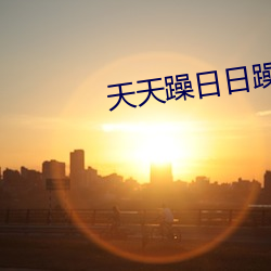天天躁日日躁狠狠躁无码