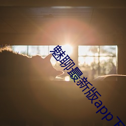 魅聊最新版app下載