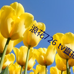 浪(làng)花726 tv直播(bō)app下载