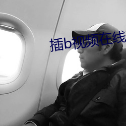 插b视频在线观看 （流派）