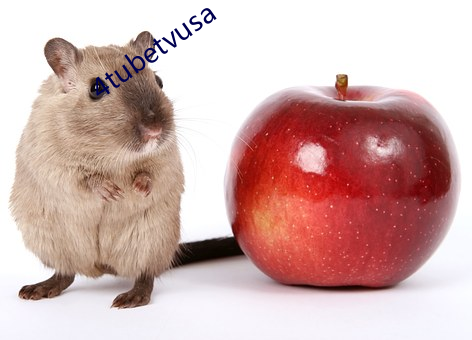 4tubetvusa