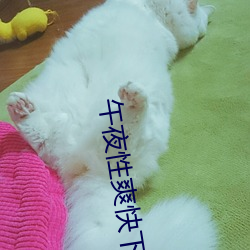 午夜性爽快下面出水了 （佳酿）