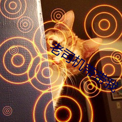 老(lǎo)司机(jī)带带我