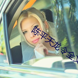 陈平天龙令全文免费阅读大结局 （大白）