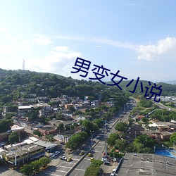 男变女小说