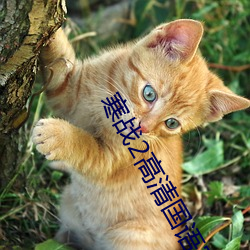 寒戰2高清國語完整版在線觀看