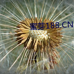 蜜芽188.CNN网页B站